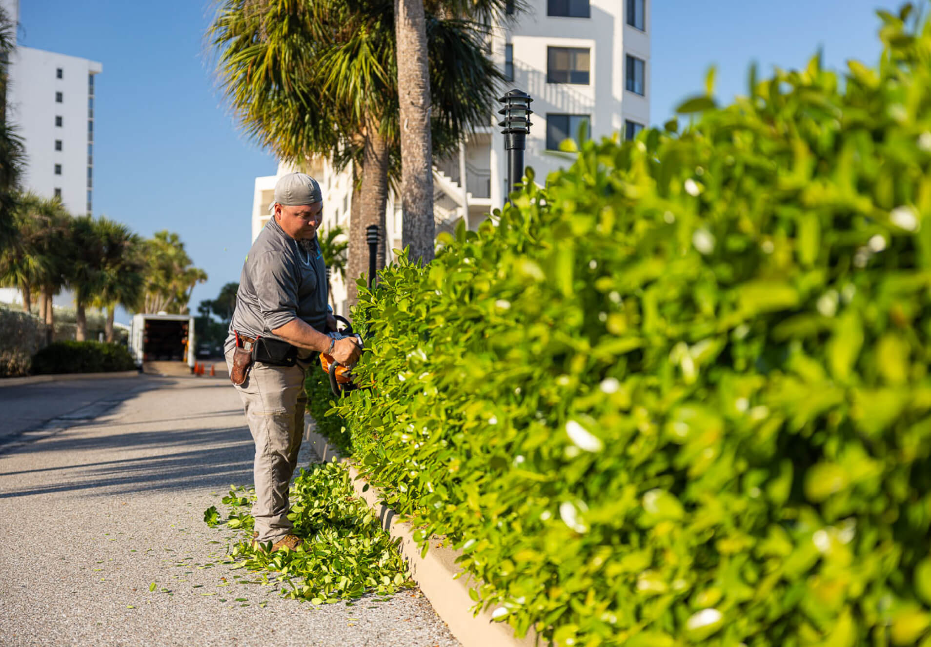 Maintenance Services