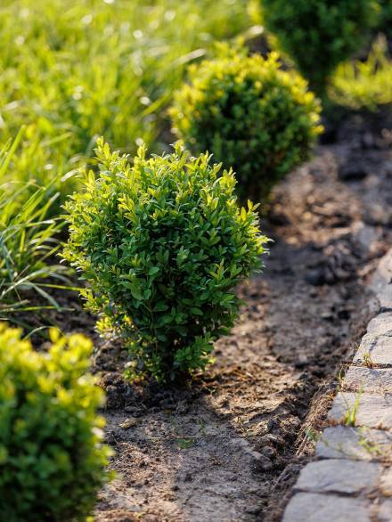 home2-image1-copyright-qhf2xig2z21k7chn8i72vwzy8twsa3shb98ncjp49w