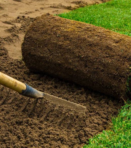 home4-image2-copyright-qhf2xig3y529xxu69thqw6ftzdnp1fnr8uc14mbimk